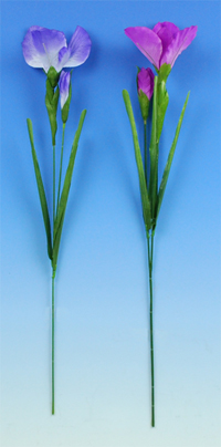 �l�G�̑��ԁ@�����