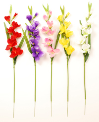 �O���W�I���X