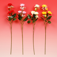 �J�X�~���t�����[�Y