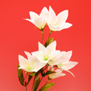 �L�L���E�i���j