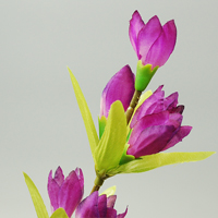 �����h�E