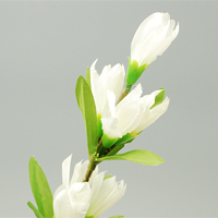 �����h�E