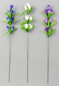 �����h�E