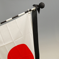 �����p�r�̓��{��