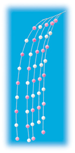 �V�V�_���݉�