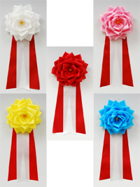 ���{�����́@�僊�{���o��