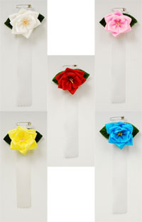 ���{�����́@���o��