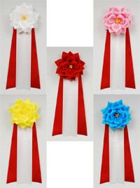 ���{�����́@�����{���o���R���^��