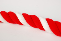 �Ղ�p�i�@�g���Ђ�