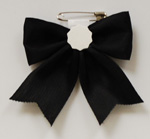 ���p�E�r�́@�A�P�{�m��/��