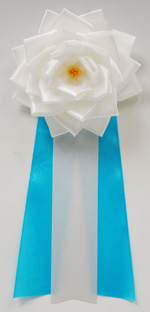 ���p�E�r�́@�僊�{���o����/��