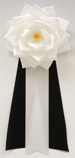 ���p�E�r�́@�僊�{���o����/��