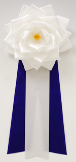 ���p�E�r�́@�僊�{���o����/��