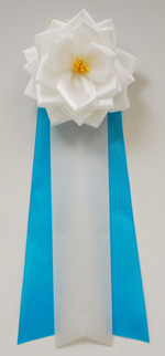 ���p�E�r�́@�����{���o����/��