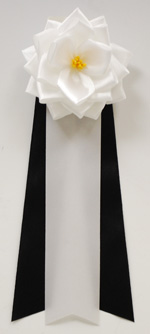 ���p�E�r�́@�����{���o����/��