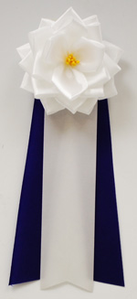 ���p�E�r�́@�����{���o����/��