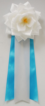 ���p�E�r�́@�����{���o����/��