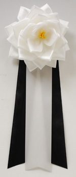 ���p�E�r�́@�����{���o����/��