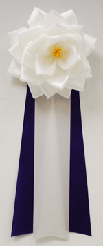 ���p�E�r�́@�����{���o����/��