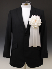 ���{�����́@�I�����җp�@�����僊�{���o��