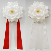 ���{�����́@�I�����җp�@�僊�{���o��