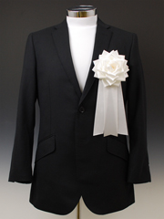 ���{�����́@�I�����җp�@���僊�{���o��