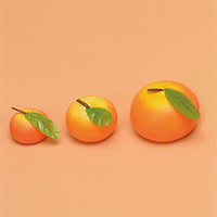 ���ߓ�ޗ��@���C�݂���