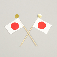 ���̊ہ~���̊ێ����i���j