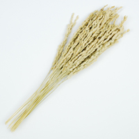 ���ߓ�ޗ��@���