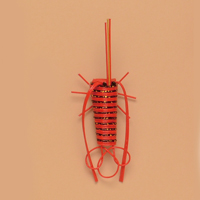 �C�V�i���j