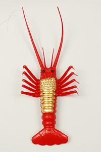 �|���G�r�i����j