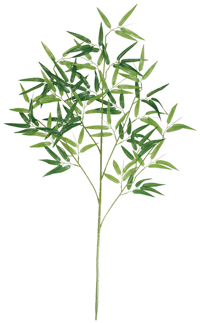 �o���u�[��}