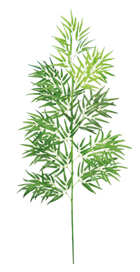 �o���u�[�c���[�i�S��180cm�j