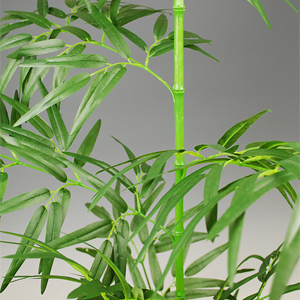 �o���u�[�c���[