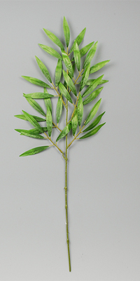 ���[�p�i�@�z���}